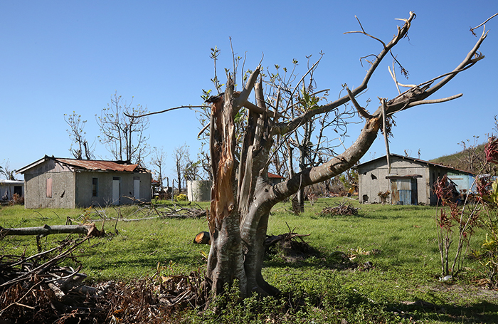 Cyclone Winston damage. Yasawa  Islands, Fiji