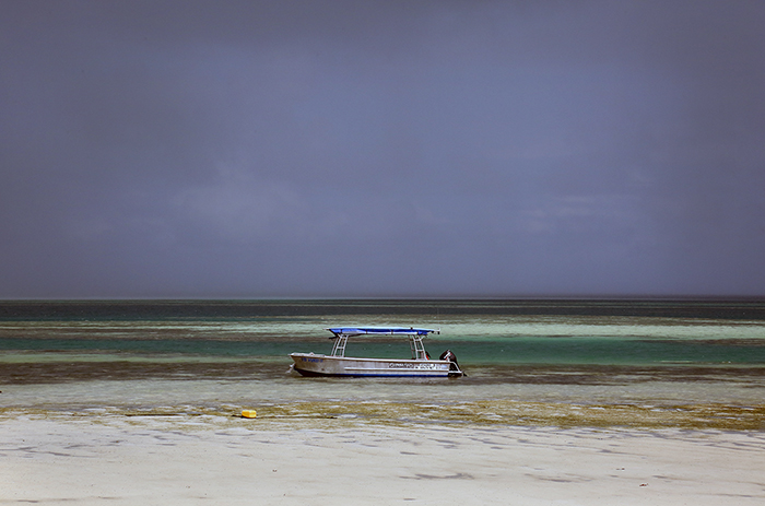 Cyclone Winston damage. Yasawa  Islands, Fiji