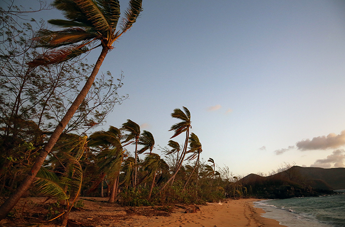 Cyclone Winston damage. Yasawa  Islands, Fiji