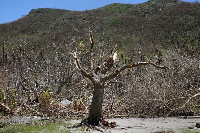 Cyclone Winston damage. Yasawa  Islands, Fiji