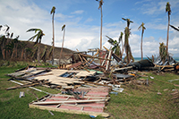 Cyclone Winston, Fiji