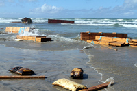 Rena Oil Spill Disaster, Tauranga, NZ