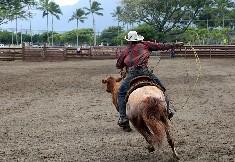 Hawaiian Rodeo : Richard Moore : Journalist : Photographer :Black and White : Portraits