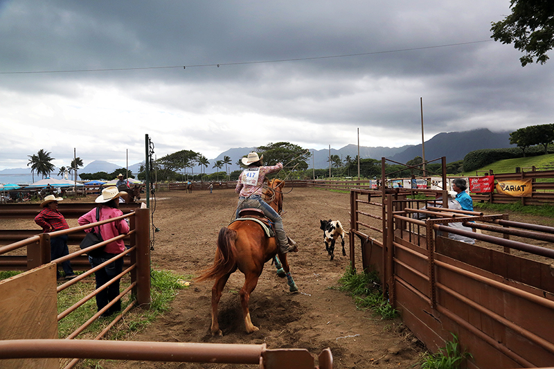 Hawaiian Rodeo : Richard Moore : Journalist : Photographer :Black and White : Portraits