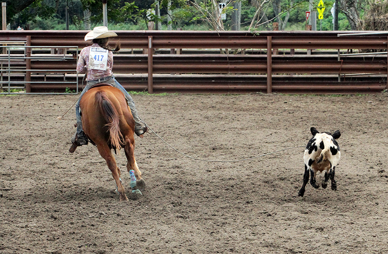 Hawaiian Rodeo : Richard Moore : Journalist : Photographer :Black and White : Portraits