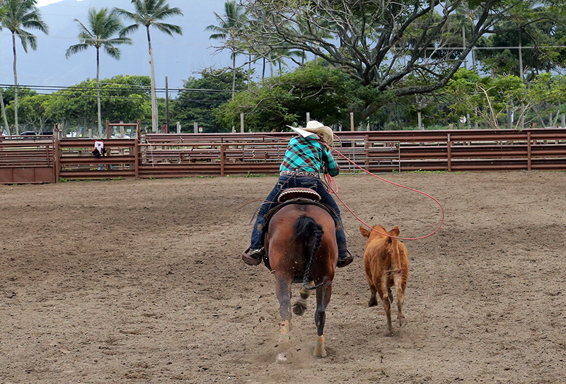 Hawaiian Rodeo : Richard Moore : Journalist : Photographer :Black and White : Portraits