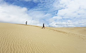 Giant Sand Dunes : Travel : New Zealand :  Photos : Richard Moore : Photographer