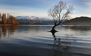 Travel :  South Island : New Zealand :  Photos : Richard Moore : Photographer